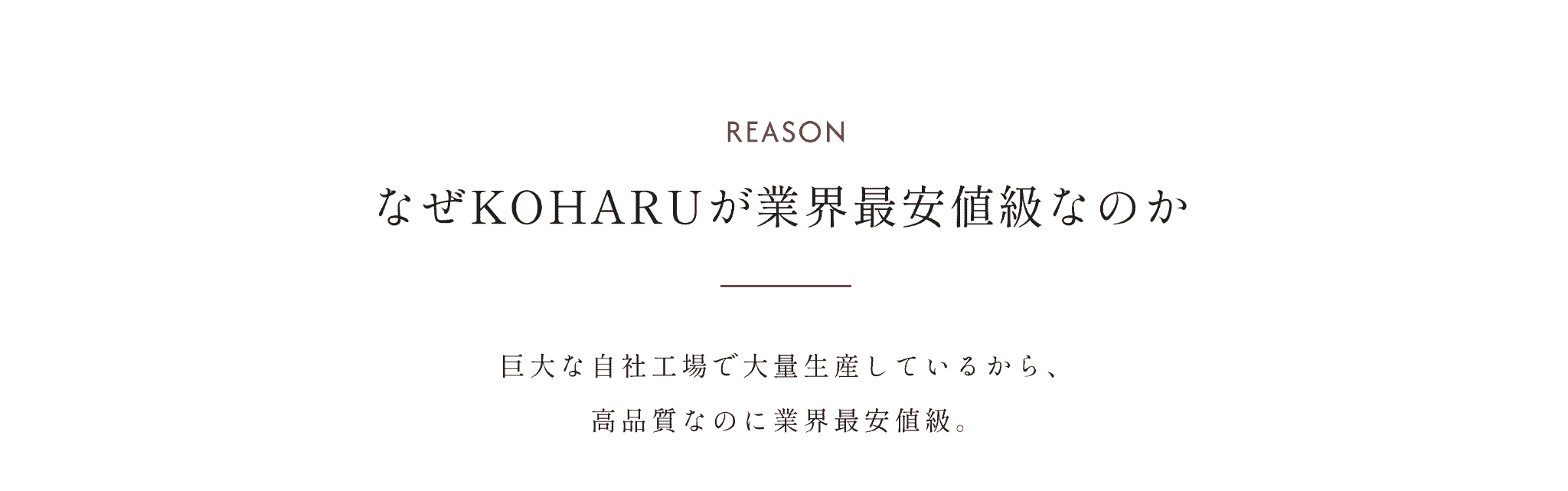 選ばれる理由